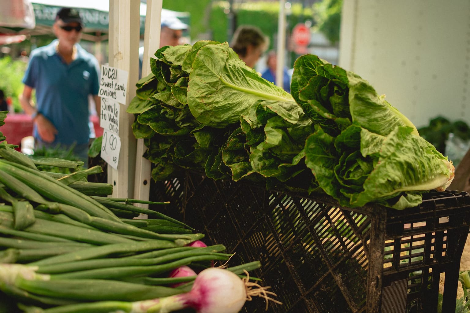 How to Choose Fresh Produce Online